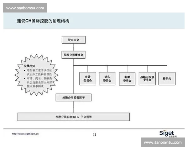 以董事会治理为核心的公司战略与风险管控协同机制研究实践路径创新